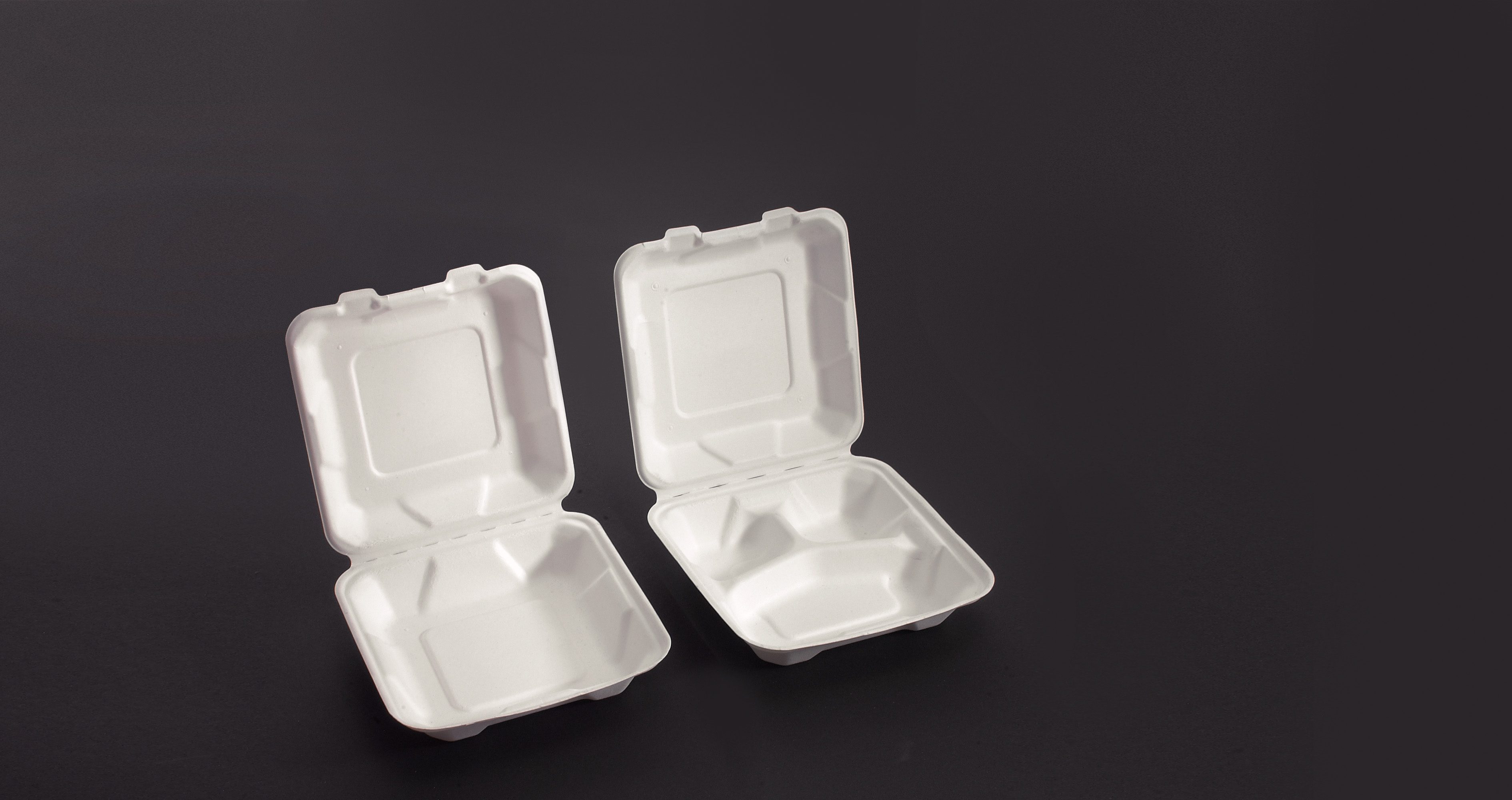Bagasse Dinner Box, 1-fach, 228x230x80 mm (LxBxH)