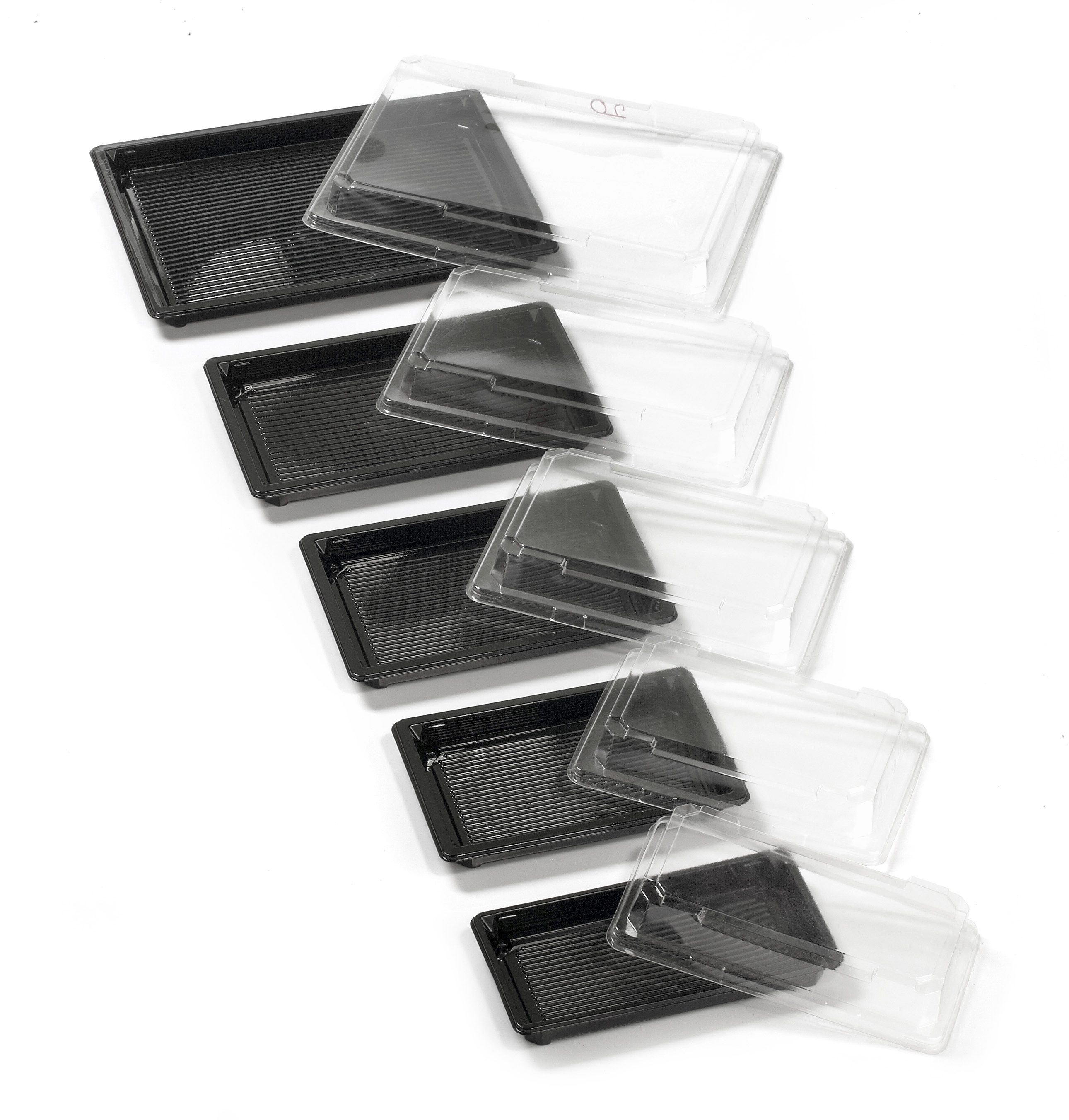 Sushi Combi groß    255x185/        200/200 PCS