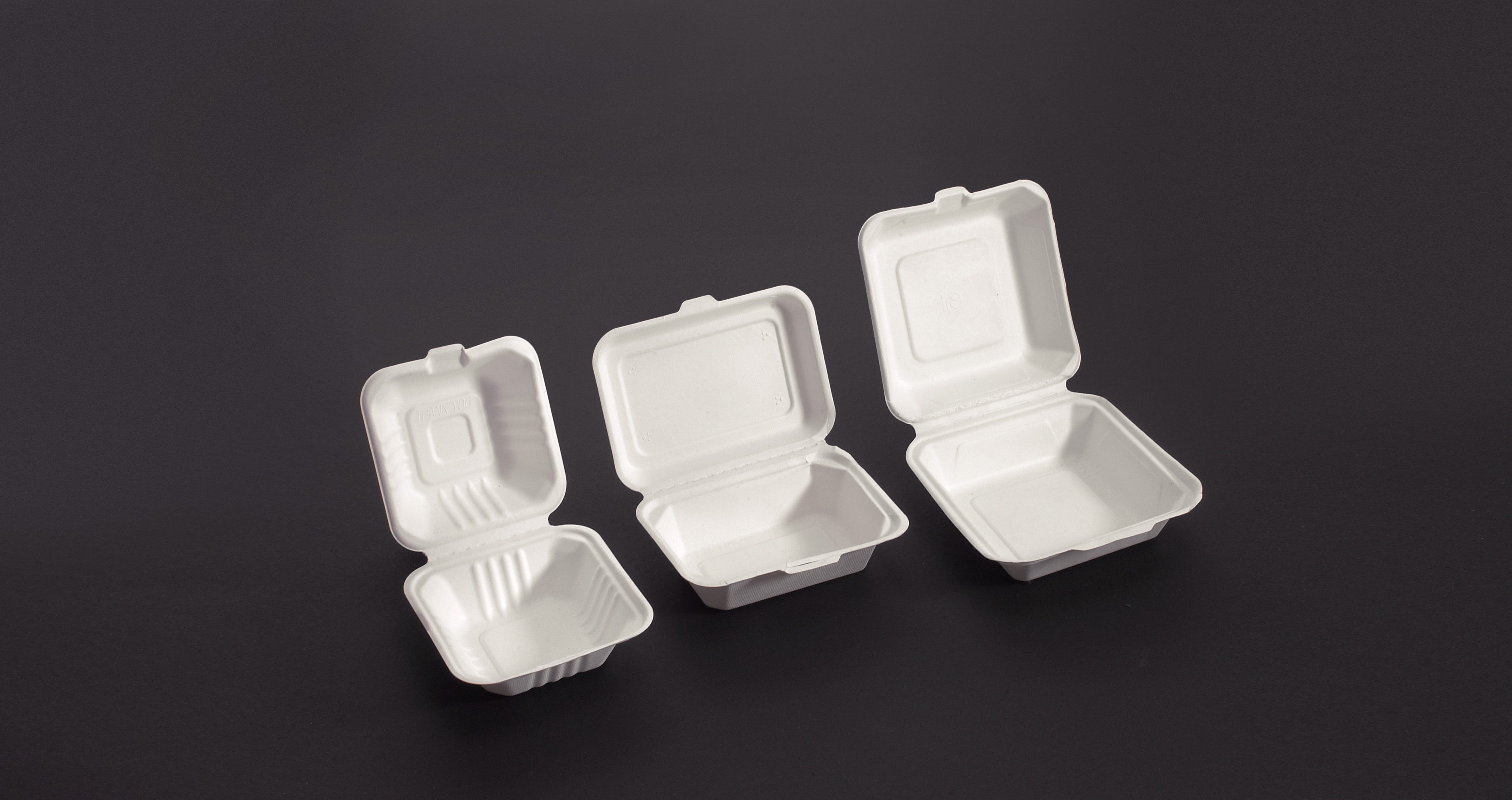 Bagasse Hamburger Box IP6 1672